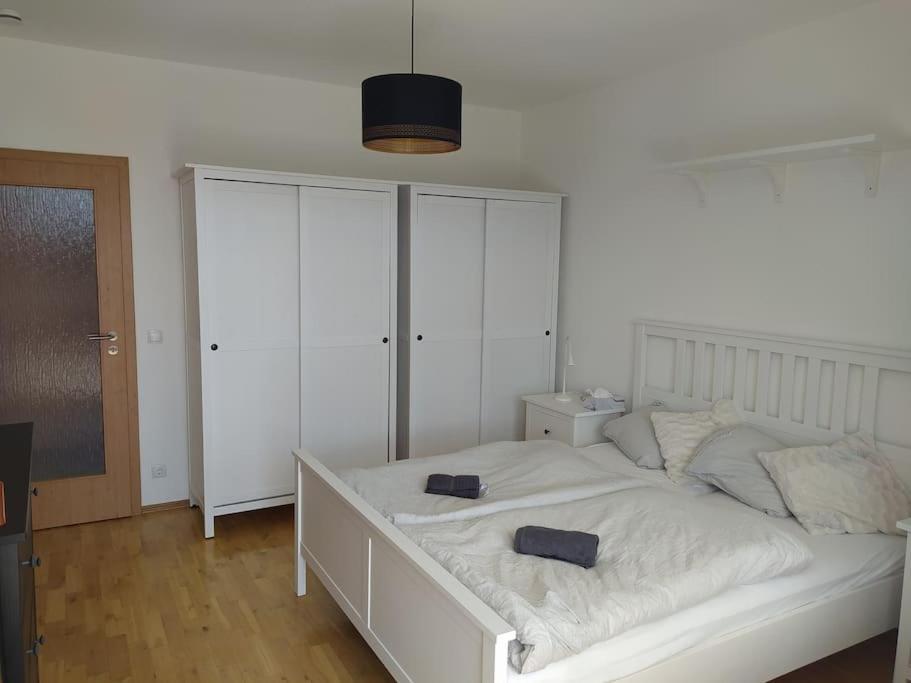 Apratman Julie - Bavorska Ruda Apartment ไบเออริช ไอเซินชไตน์ ภายนอก รูปภาพ
