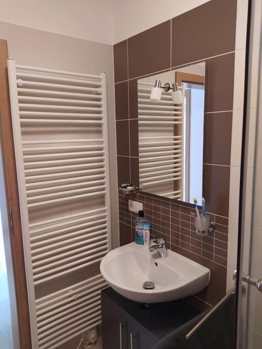 Apratman Julie - Bavorska Ruda Apartment ไบเออริช ไอเซินชไตน์ ภายนอก รูปภาพ