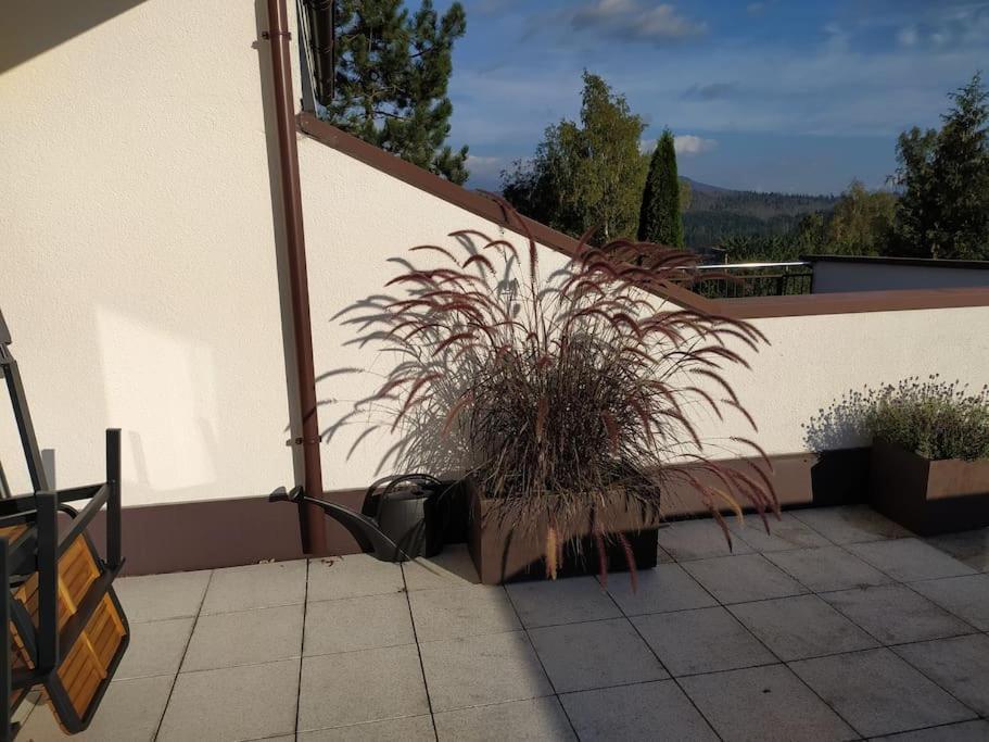 Apratman Julie - Bavorska Ruda Apartment ไบเออริช ไอเซินชไตน์ ภายนอก รูปภาพ